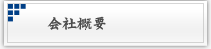 ЊTv